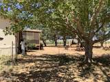 311 Kaibab Way - Photo 27