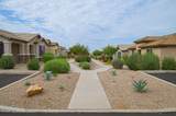 14037 Cariole Street - Photo 11