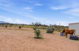 3023 Clark Road - Photo 37