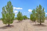 10935 Swan Road - Photo 3