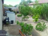 13898 Swift Spear Drive - Photo 35