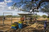 276 Desert Sunset Road - Photo 29