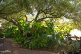 276 Desert Sunset Road - Photo 6