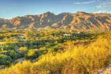 5195 Camino Antonio  Lot 8 - Photo 11