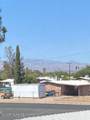 1776 Palo Verde Avenue - Photo 13
