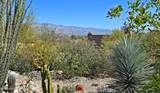 1504 Desert Trumpet Court - Photo 29