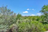 14253 Via Del Farolito - Photo 19