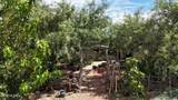 276 Desert Sunset Road - Photo 5