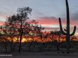 4987 Creosote Canyon Drive - Photo 48