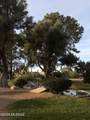 445 Paseo Quinta - Photo 30