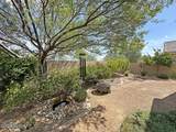 9886 Niobrara Way - Photo 43