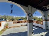 248 Paseo Aguila - Photo 6
