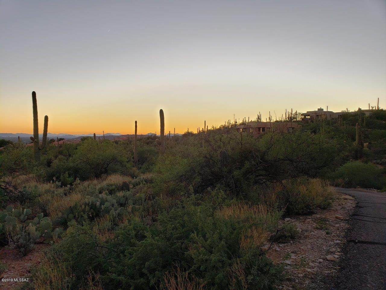 10245 Sabino Estates Drive - Photo 1
