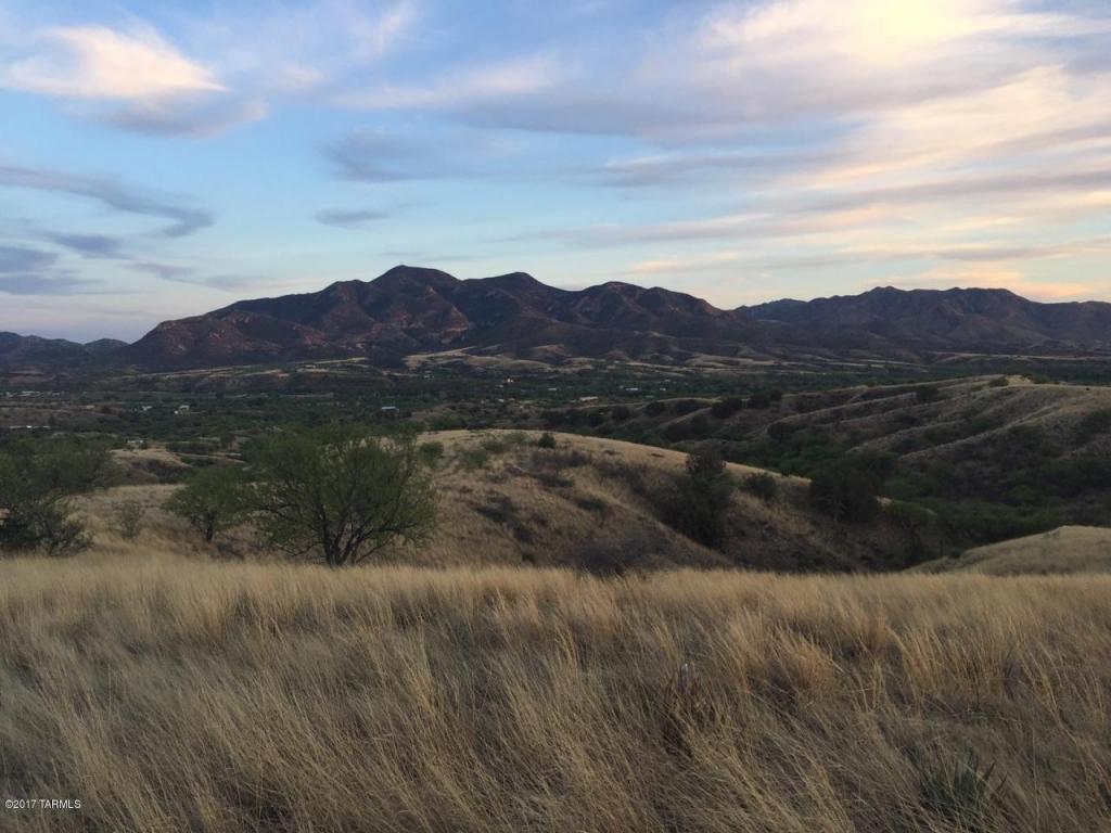 TBD Off Temporal Canyon Road - Photo 1