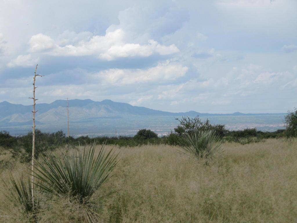 De Vaca Circle - Photo 1