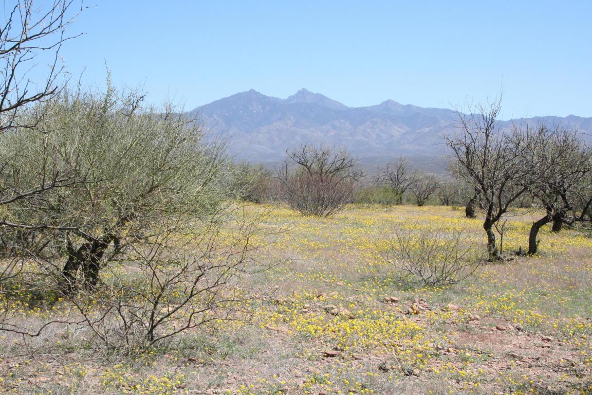 TBD Alegria Road - Photo 1
