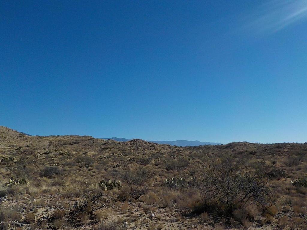 Lot 59 40Ac Four Feathers Loop - Photo 1