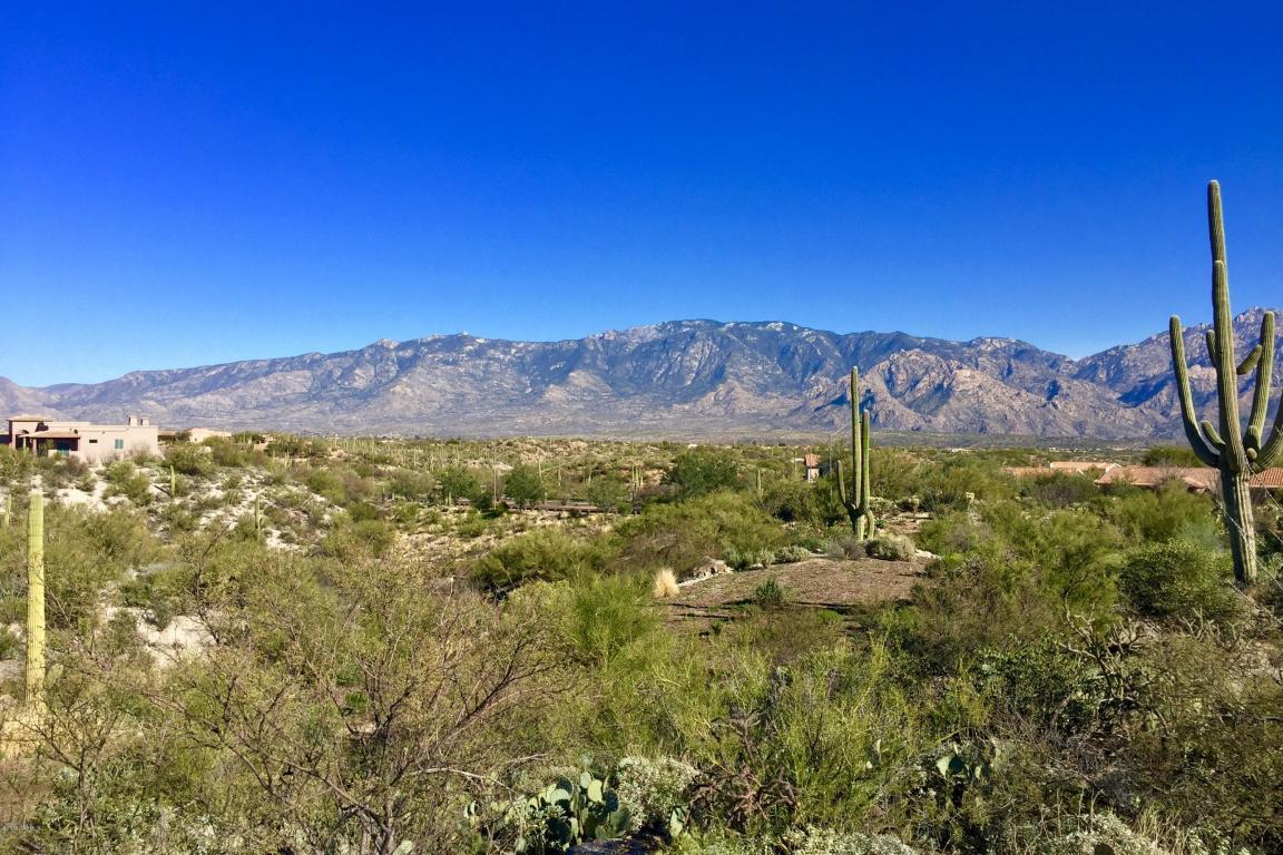 13931 Flint Peak Place - Photo 1