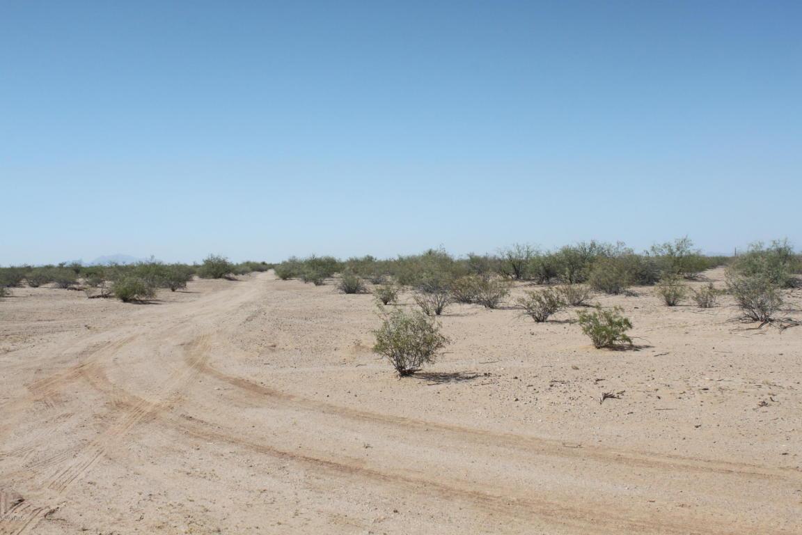 TBD Little Cody Road - Photo 1
