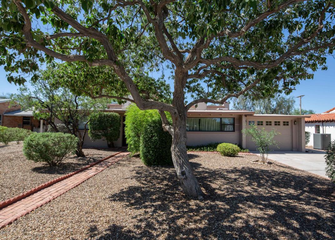 2610 Waverly Street - Photo 1