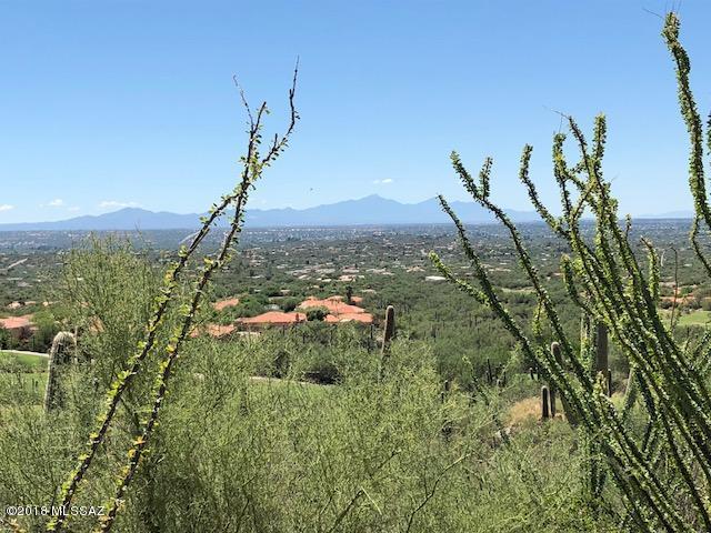 10030 Sabino Estates Drive - Photo 1