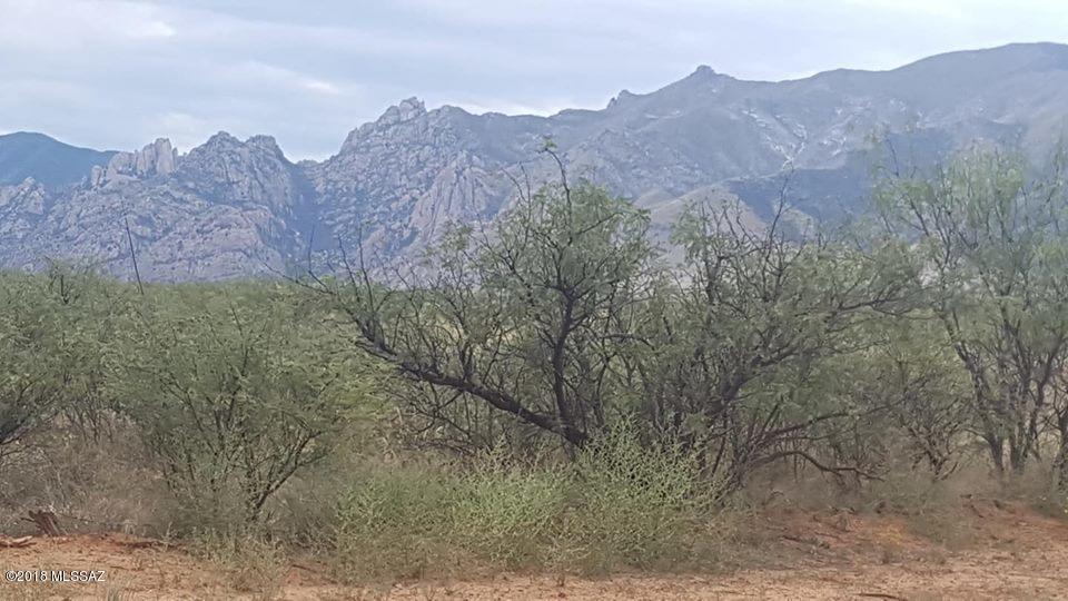 13 Kaibab - Photo 1