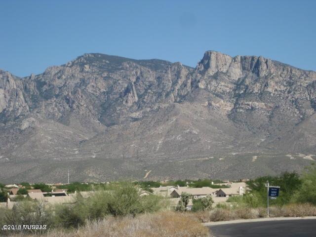 12686 Vistoso View Place - Photo 1