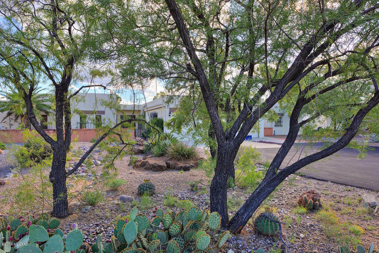 783 Calle De Alegria - Photo 1