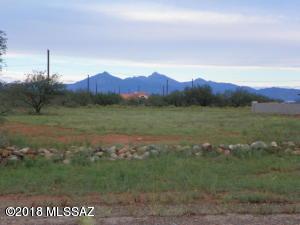 1829 Via Nueva Zelandia - Photo 1