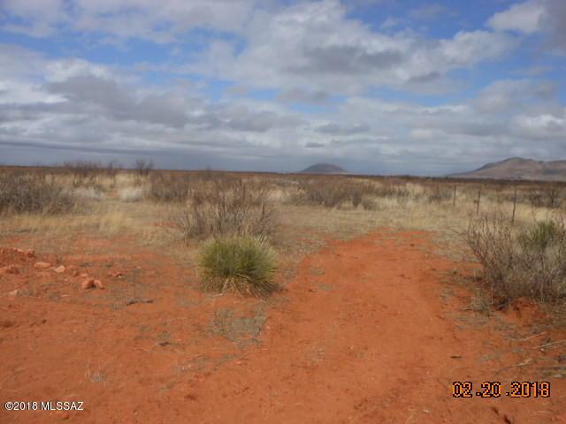 TBD Red Stag Road - Photo 1