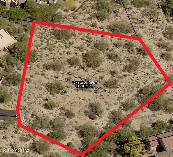 1246 Ancient Canyon Place - Photo 1