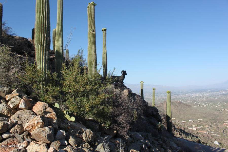 6521 Sky Canyon Drive - Photo 1