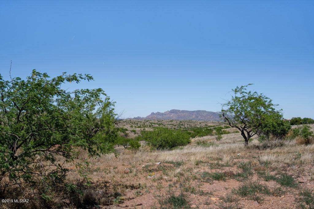 13940 Jalisco Road - Photo 1