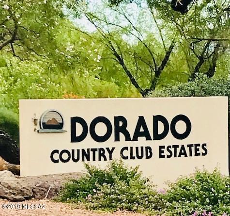 1560 Paseo Dorado - Photo 1