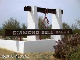 13810 Diamond Bell Ranch Road - Photo 1