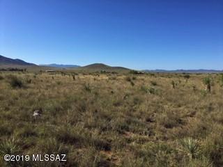 00 Whetstone Ranch Drive - Photo 1