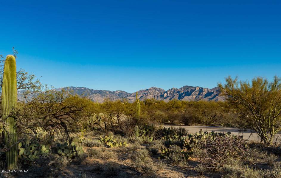3746 Tortolita Springs Road - Photo 1