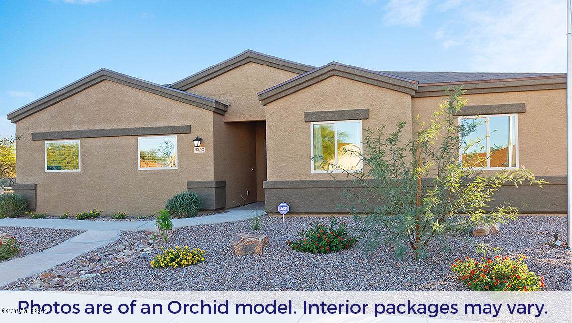 7414 Calle Colado - Photo 1