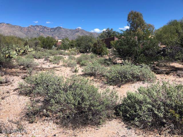 5180 Camino Francisco Soza - Photo 1