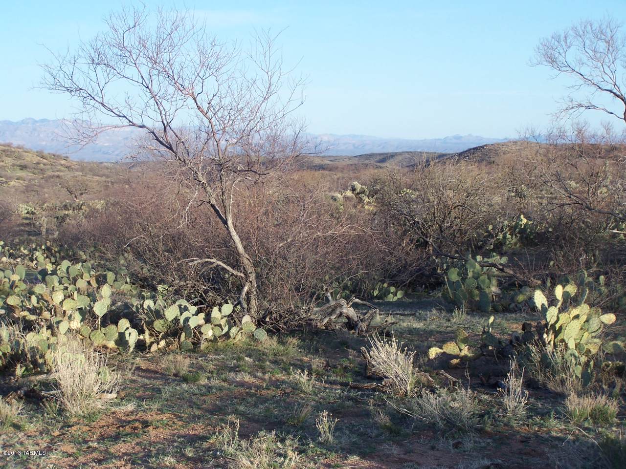 N 20 Acres Vanessa East Way - Photo 1