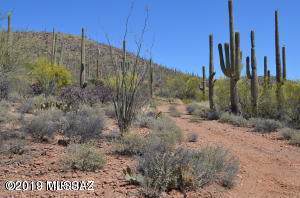 2650 Ajo Highway - Photo 1