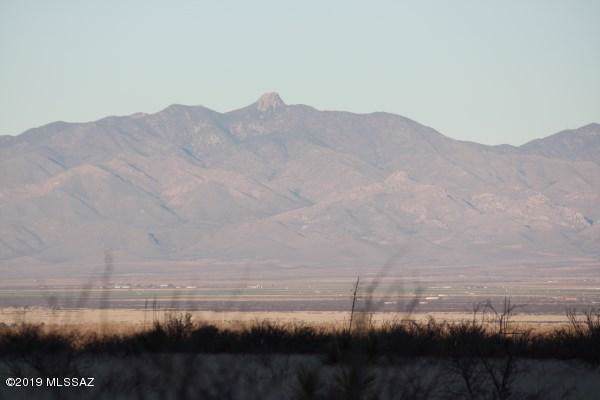 Doe Ranch Rd Road - Photo 1