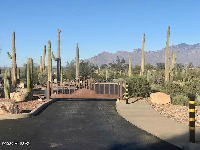 3156 Salvia Drive - Photo 1