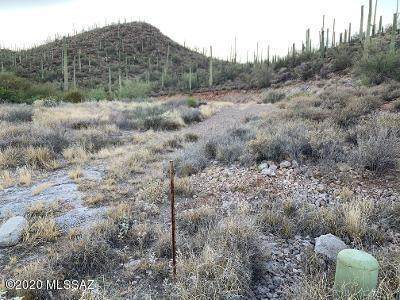 3172 Salvia Drive - Photo 1
