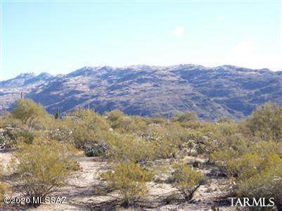 4075 Saguaro Monument Place - Photo 1 4075 Saguaro Monument Place - Photo 1