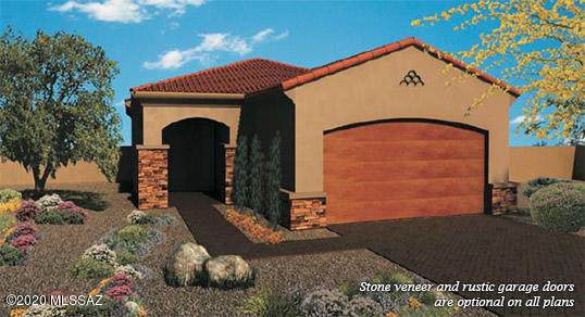 10333 Painted Turtle Lane - Photo 1