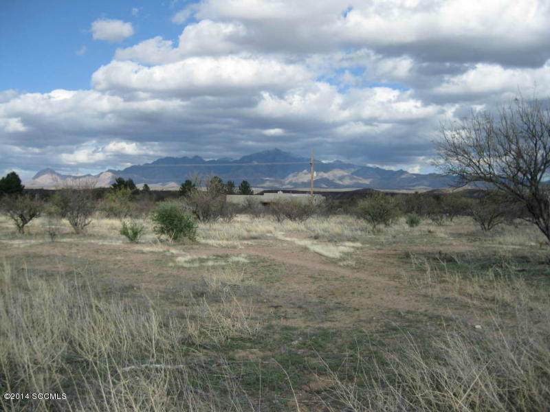 2334 Circulo De Anza - Photo 1