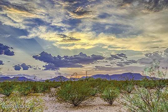 17660 Old West Cactus Trail - Photo 1