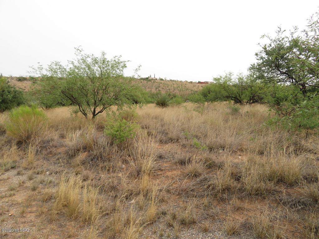 16245 Choctaw Place - Photo 1