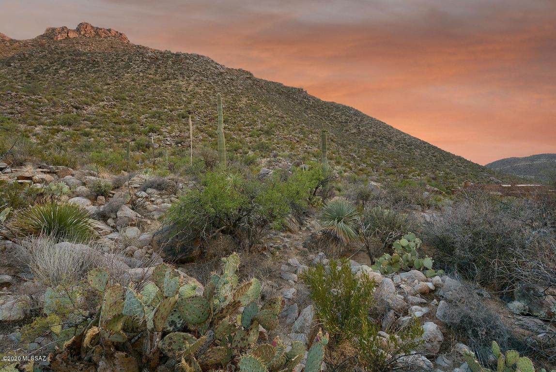 14885 Copper Sunset Drive - Photo 1